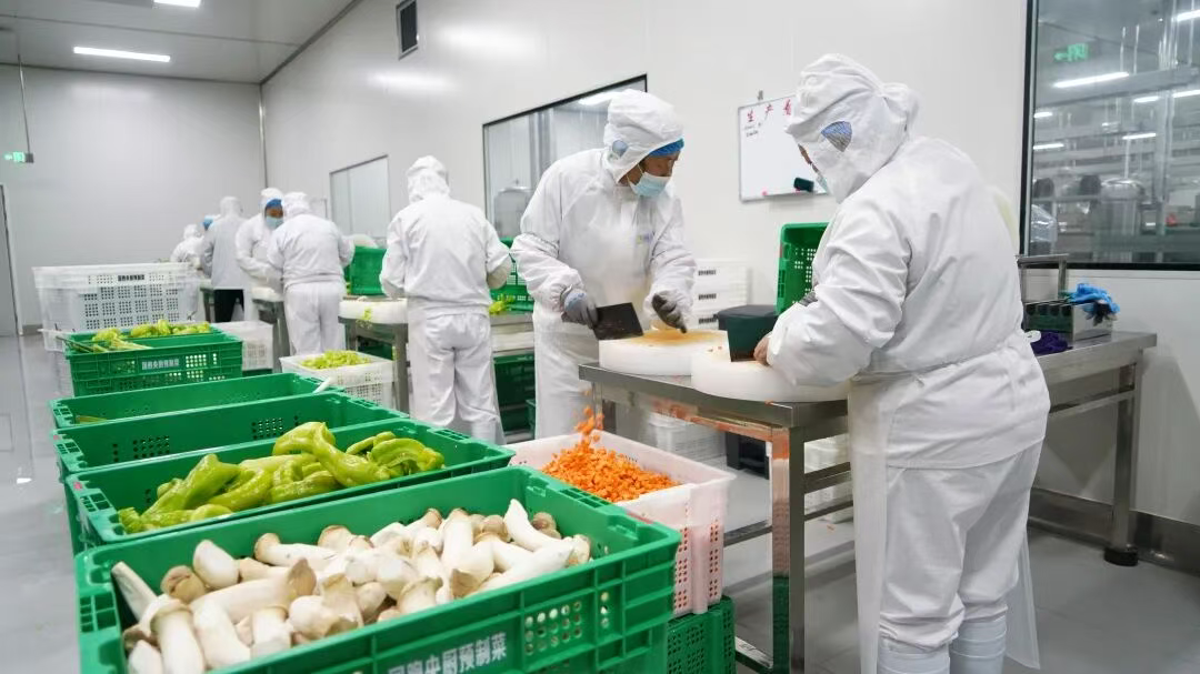 “3+N”！阜平加快构建现代化产业集群