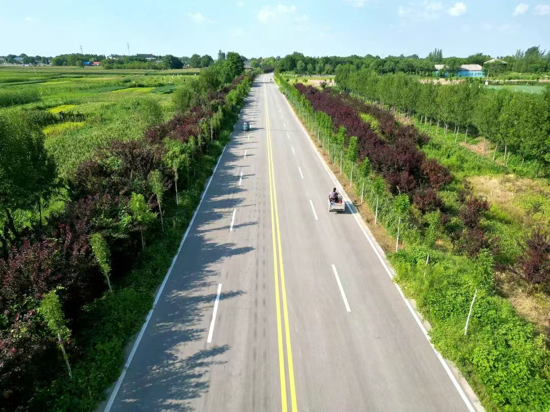 强骨架，优服务！交通运输事业跑出“加速度”