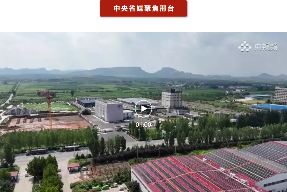 河北邢台：龙头发力 全链提速 千亿级食品产业隆起带加速崛起