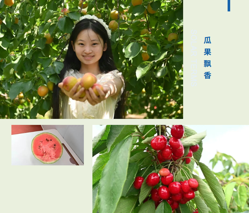 5月的曲周，瓜果飘香~~   